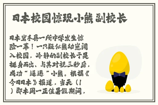 discipline快播